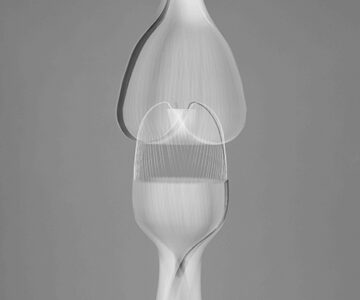 'Estudo sobre o movimento', fotografia, 2024 // 'Study on movement', photograph, 2024