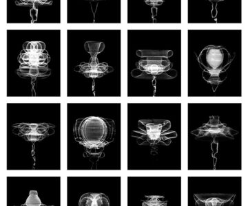 'Estudos sobre a possibilidade do movimento', fotografia, 2017 // 'Studies on the possibility of movement', photograph, 2017