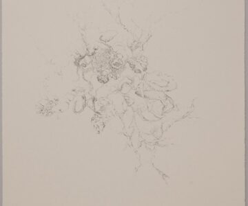 Sem título, Carvão sobre papel, 72,5x56cm, 2011 / Untitled, Charcoal on papel, 72,5x56cm, 2011