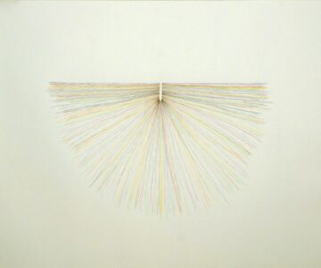 Sem título. Da série de desenho HARMONIA. Lápis de cor permanente sobre papel Fabriano 200gr. 56x 76cm. 2010 / Untitled. from the drawing series HARMONY. Permanent color pencil on Fabriano paper 200gr.56x 76cm. 2010