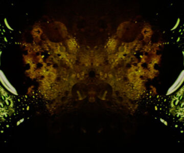 Tooth, video still, 2017
