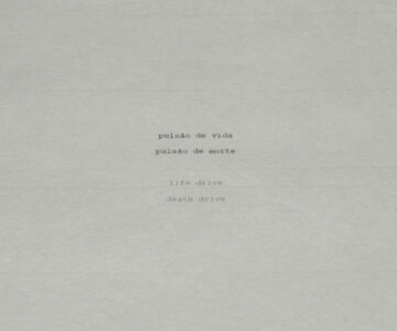 ‘pulsão de vida, pulsão de morte’ (detalhe) / ‘life drive, death drive’ (detail)