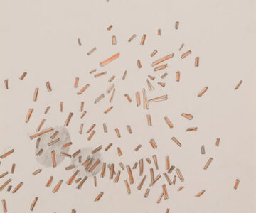 Sem título, lápis de cor sobre papel / Untitled, color pencil on paper / 40,5 cm x 29,5 cm, 2012