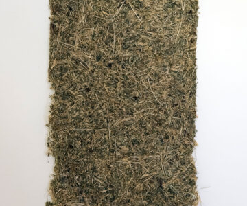 Sem título, erva compactada, 20 x 25 cm, 2026 // Untitled, compacted grass, 20 x 25 cm, 2026