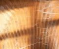 ‘metáforas temporais’, vidro, madeira e espargos selvagens, 150cm x 120cm ￼￼x 30cm, 2014 (fotografia por Carolina Thadeu) / ‘ Temporal Metaphors ’, glass, wood ￼and wild asparagus, 150cm x 120cm x 30cm, 2014 (photography by Carolina Thadeu)