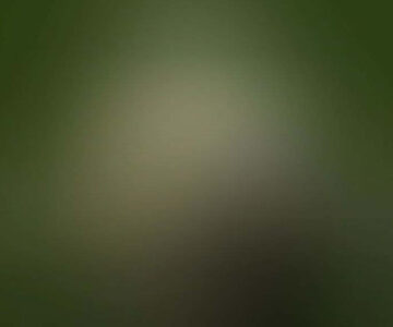 'Foca', vídeo 4:3 60'' em loop, 2006 / 'Foca', video 4:3 60'' loop, 2006
