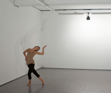 'É que um mundo todo vivo tem a força de um Inferno', 2010, Marz Galeria, Lisboa