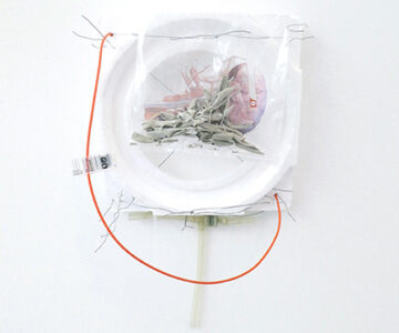 Untitled, Polystyrene, wire, ink-jet print, plastic, white-sage, cable, tubing; 40 x 22 x 15 cm, 2017 / Sem título, Esferovite, arame, impressão em papel, plástico, sálvia branca, tubo; 40 x 22 x 15 cm, 2017
